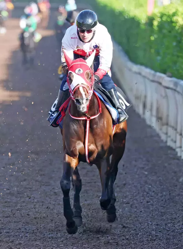 【青葉賞】ＧＬＡＹのＴＥＲＵが名付け親のテルヒコウは坂路を楽走で好気配　矢作調教師「良くはなっている」