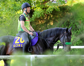 【日本ダービー】好馬体が際立つ皐月賞馬のロブチェンに杉山晴調教師も手応え十分　「動きの質は良くなっています」