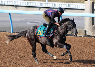 【ＰＯＧ】ダービー２着馬と同厩舎＆同馬主のフィリオソラーレがルメール騎手で開幕初日デビュー　陣営「走ることに真面目」