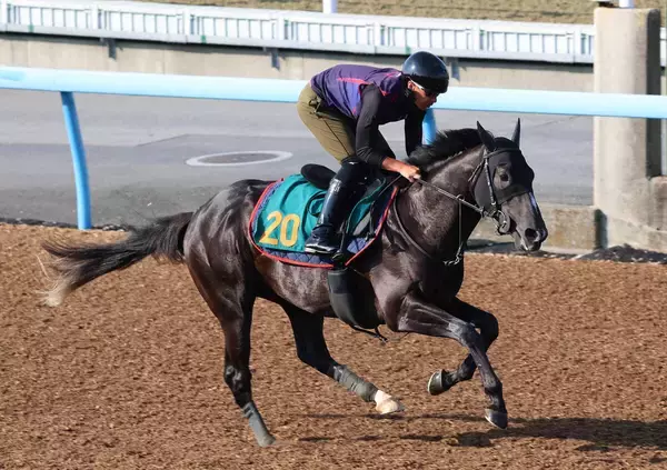 【ＰＯＧ】ダービー２着馬と同厩舎＆同馬主のフィリオソラーレがルメール騎手で開幕初日デビュー　陣営「走ることに真面目」