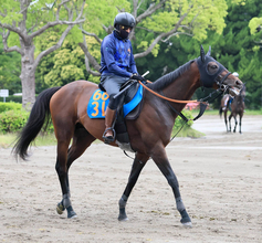 【注目馬動向】目黒記念２着のウィクトルウェルスはオールカマーへ
