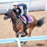 「【紫苑Ｓ】「強かった」春の実績馬撃破したマスターソアラが重賞初Ｖ　大野拓弥騎手と秋華賞切符もつかむ」の画像1