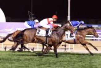 ２３年ドバイ・ターフ２着のダノンベルーガ引退　東京競馬場で乗馬に