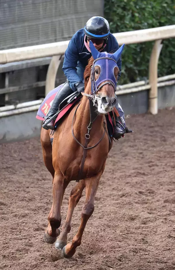 【阪神ＪＦ】「いい」陣営も太鼓判！　栗東滞在で気配上々　新馬以来の阪神でアルバンヌが初タイトル狙う