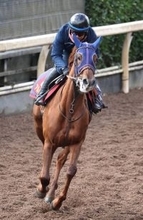 【阪神ＪＦ】「いい」陣営も太鼓判！　栗東滞在で気配上々　新馬以来の阪神でアルバンヌが初タイトル狙う