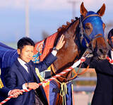 「ダーレー・ジャパンが２６年度の種付け料を発表　最高額はレモンポップの５００万円　サンダースノーは２００万円」の画像1