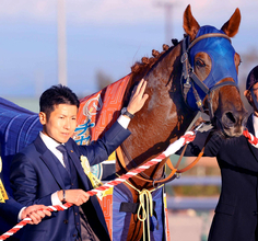 ダーレー・ジャパンが２６年度の種付け料を発表　最高額はレモンポップの５００万円　サンダースノーは２００万円