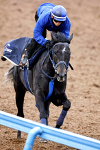 【共同通信杯】抜群の動きに津村明秀騎手が絶賛のリアライズシリウス「確実に前走より良くなっている」