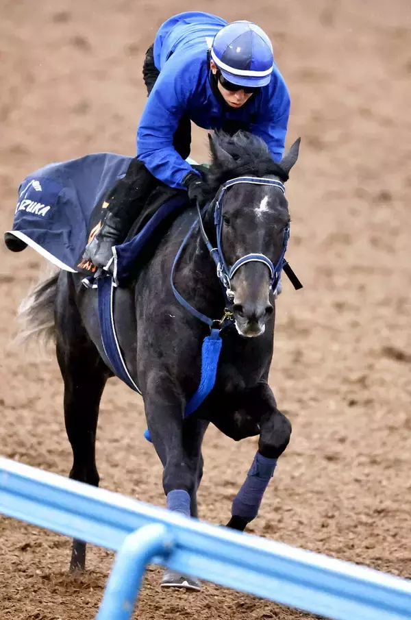 【共同通信杯】抜群の動きに津村明秀騎手が絶賛のリアライズシリウス「確実に前走より良くなっている」