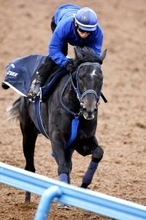 【共同通信杯】抜群の動きに津村明秀騎手が絶賛のリアライズシリウス「確実に前走より良くなっている」