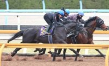 【大阪杯】クロワデュノールは滑らかな加速でラスト１１秒１　斉藤崇調教師「もう一度、輝きと自信を…」