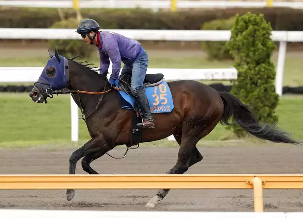 【読売マイラーズＣ】田中博調教師「スピード負けはしない」　シックスペンスが転厩初戦で重賞４勝目へ