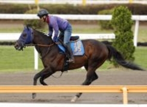 【読売マイラーズＣ】田中博調教師「スピード負けはしない」　シックスペンスが転厩初戦で重賞４勝目へ