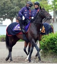 【天皇賞・春・特選有力馬チェック】ヘデントールは買うべき？