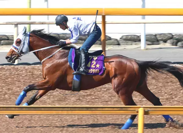 【注目馬動向】メイショウタバルが帰厩後初時計　武豊騎手と宝塚記念の連覇目指す