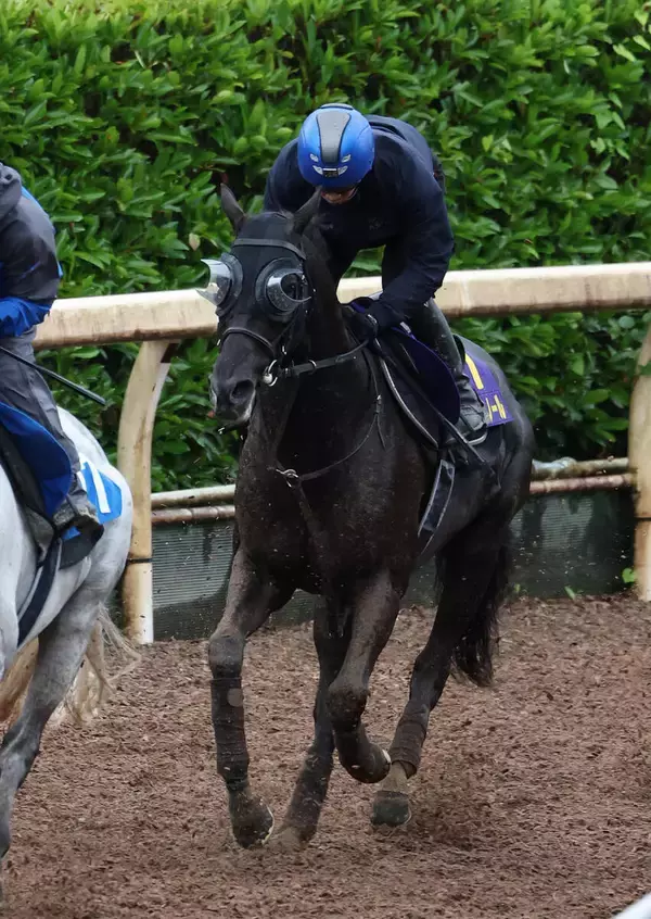 【宝塚記念】２２００メートルの阪神４Ｒから見る馬場傾向は？　クロワデュノールの古馬Ｇ１春３冠を後押しか