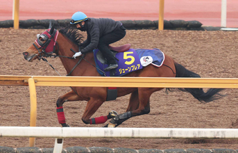 【注目馬動向】スプリンターズＳで昨年２着ジューンブレアの鞍上は坂井瑠星騎手に決定　サウンドモリアーナは吉田隼人騎手