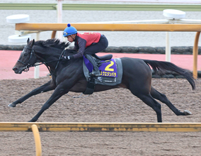 【菊花賞・金曜気配】アスクエジンバラはレース２日前も岩田康誠騎手が騎乗　福永調教師「いい状態で使えるのが何より」
