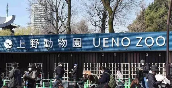 上野動物園の双子パンダは来年１月下旬に中国返還…国内パンダ０頭に