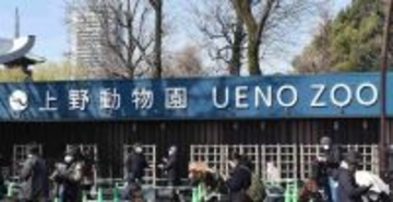 上野動物園の双子パンダは来年１月下旬に中国返還…国内パンダ０頭に