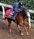 「【朝日杯ＦＳ】上位４頭が「厩舎力」データからも有力だが…気になるのは妙味ありそうな重賞勝ち馬」の画像1