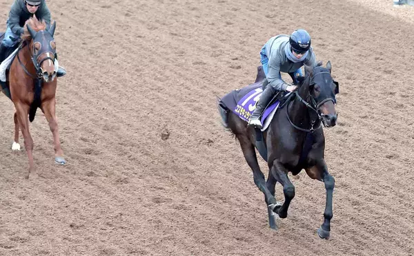 【有馬記念】コスモキュランダは初ブリンカーで過去最高の動き　加藤士調教師「さらにいいなと感じている」