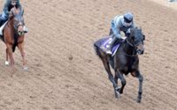 【有馬記念】コスモキュランダは初ブリンカーで過去最高の動き　加藤士調教師「さらにいいなと感じている」