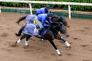 【有馬記念・山下が見た】ミュージアムマイルが調教最高評価　その理由と「皐月賞以上」陣営の期待