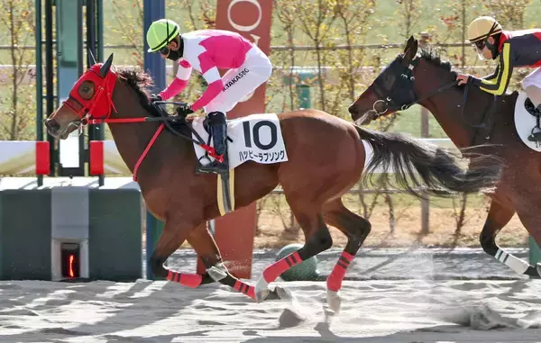 【京都２Ｒ・３歳新馬】単勝４０倍超えの伏兵ハッピーラブソングが差し切り　高杉吏麒騎手「地力で踏ん張ってくれた」