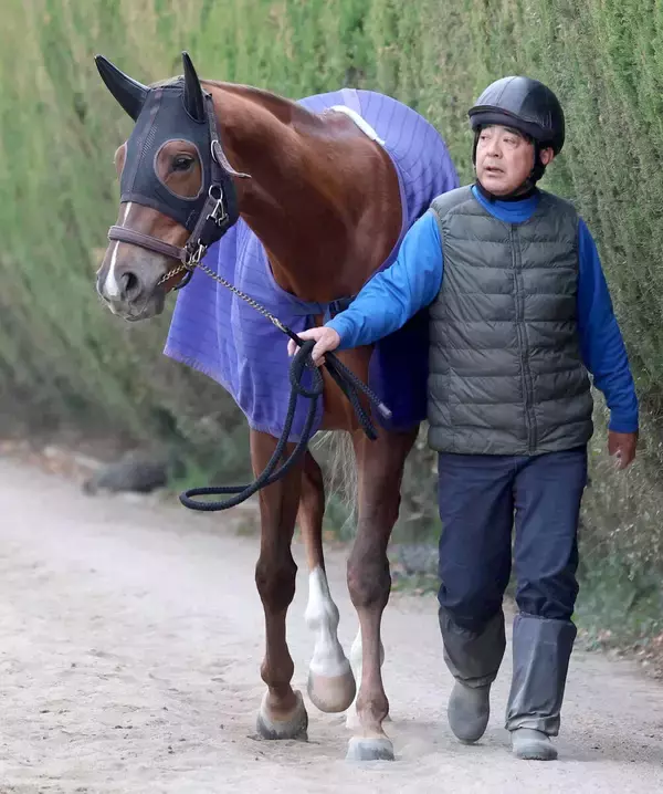 【注目馬動向】クイーンＣへ向かうヒズマスターピースは佐々木大輔騎手と新コンビ