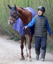 【注目馬動向】クイーンＣへ向かうヒズマスターピースは佐々木大輔騎手と新コンビ