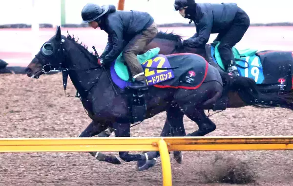 【フェブラリーＳ・１週前】前哨戦勝ち馬のロードクロンヌはグッと加速　四位調教師も「動きは十二分」と笑顔