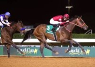 世界で日本競馬の強さ知らしめるフォーエバーヤング　矢作厩舎の公式ＨＰにも「日本の馬は、強い」の大きな文字が