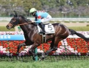 【阪神６Ｒ・３歳１勝クラス】母は豪Ｇ１馬のコンジェスタスが横綱相撲で連勝　西村淳也騎手「強かった。そのひと言」