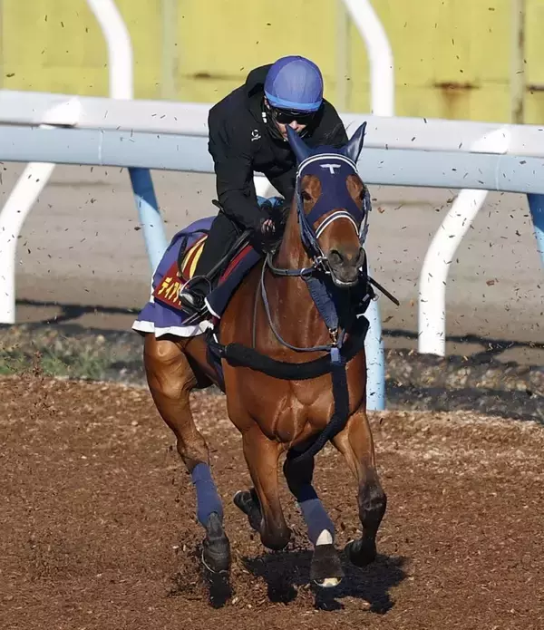 日曜阪神競馬場の注目激走馬…阪神１１Ｒ桜花賞・Ｇ１