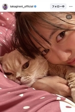 「泣いちゃうなぁ寂しいなぁ」高城れに、天国の愛猫に思い出投稿「ずっと愛してるよ」