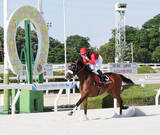 「園田競馬ファンの穴党には受難の日　全１２レースで万馬券出ず　単勝１００円台の馬が６勝で２度の元返し」の画像1