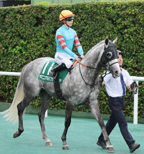 【北九州記念】プラス９キロが響いた？連覇狙ったヤマニンアルリフラは９着　団野大成騎手「いつもに比べたら...」