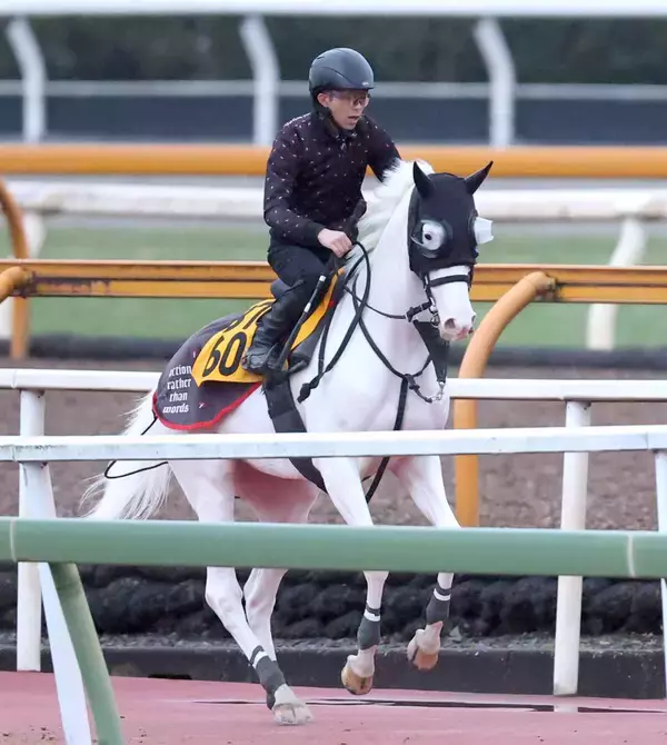 【２６日の注目・中京９Ｒ】白毛のゴージャスが復活なるか　鞍上の田山旺佑騎手に期待