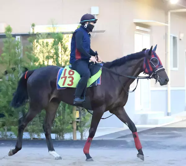 【ＰＯＧ】半姉は重賞ウィナー！２歳戦好調な森一厩舎からまた期待馬がデビュー　８月１６日新潟を予定のマルスレジーナ　