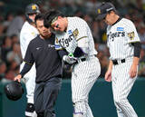 「【阪神】前日死球で負傷交代の森下翔太が試合前練習でグラウンドに登場　左前腕部の打撲も「痛いですけど、折れていなければ野球はできる」」の画像1