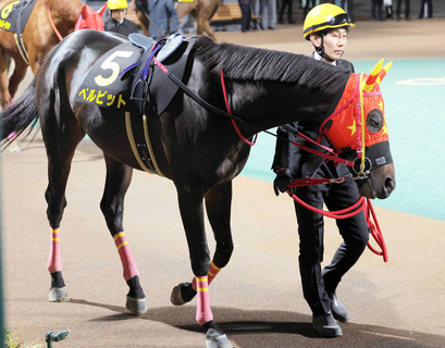 【門別・瑞穂賞】王者ベルピットが４戦連続で同一重賞３連覇の偉業達成！　単勝１・０倍に応えて大差で圧勝
