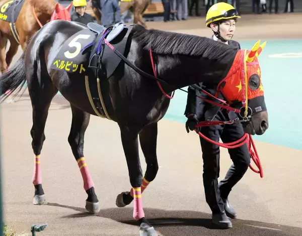 【門別・瑞穂賞】王者ベルピットが４戦連続で同一重賞３連覇の偉業達成！　単勝１・０倍に応えて大差で圧勝