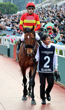 引退するベラジオオペラ、ソウルラッシュなど香港遠征馬８頭が帰国