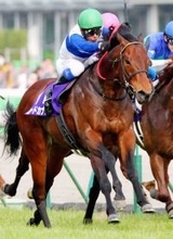 【大阪杯】デビットバローズで３連覇がかかるロードカナロア産駒　コスタノヴァ、サトノレーヴとＪＲＡ・Ｇ１連勝中