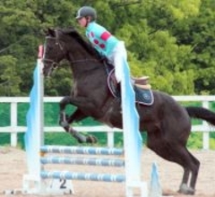 今村聖奈騎手が障害馬術競技に参戦　落下減点なしで終えて「すごく普段と違った緊張感がありました」