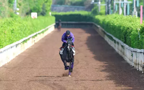 【ヴィクトリアM・ヤマタケが見た】千六ボディーでカムニャック、女王エンブロイダリーに勝つ