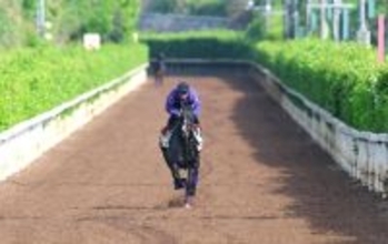 【ヴィクトリアM・ヤマタケが見た】千六ボディーでカムニャック、女王エンブロイダリーに勝つ