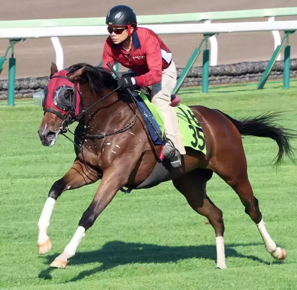 【函館２歳Ｓ】５０００勝達成の武豊騎手が今週もシグレで主役へ　陣営「豊さんも『走るね』と。楽しみが大きい」