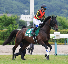 【注目馬動向】七夕賞７着カラマティアノスは９月１２日のチャレンジＣへ　サンデーサラブレッドクラブが発表